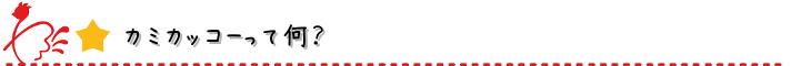 カミカッコーとは？